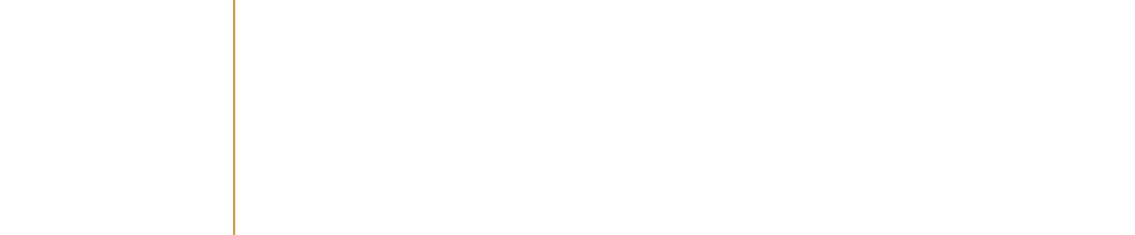 Las Vegas SUV Service